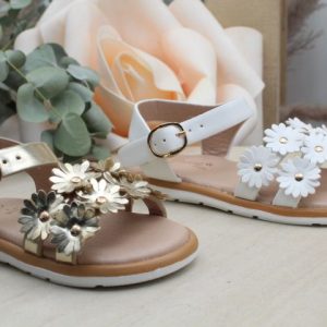 S1D Flores