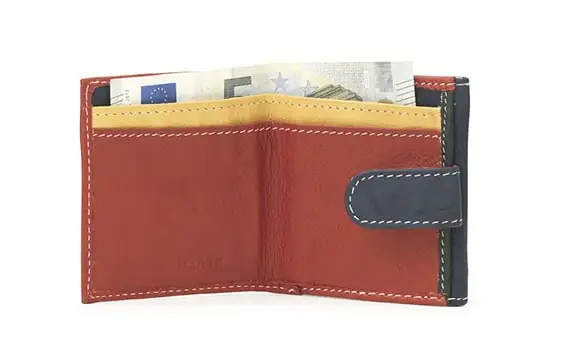Cartera JAGUAR · Billetero Monedero en Piel con Solapa · Multicolor - Imagen 3