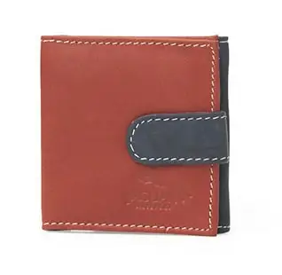 Cartera JAGUAR · Billetero Monedero en Piel con Solapa · Multicolor