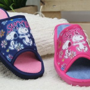 Ch6P p/d snoopy