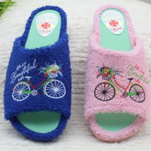 Ch1P p/d bici