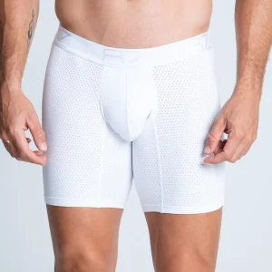 Boxer BRONZINI